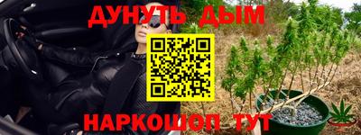 соль ск Обнинск